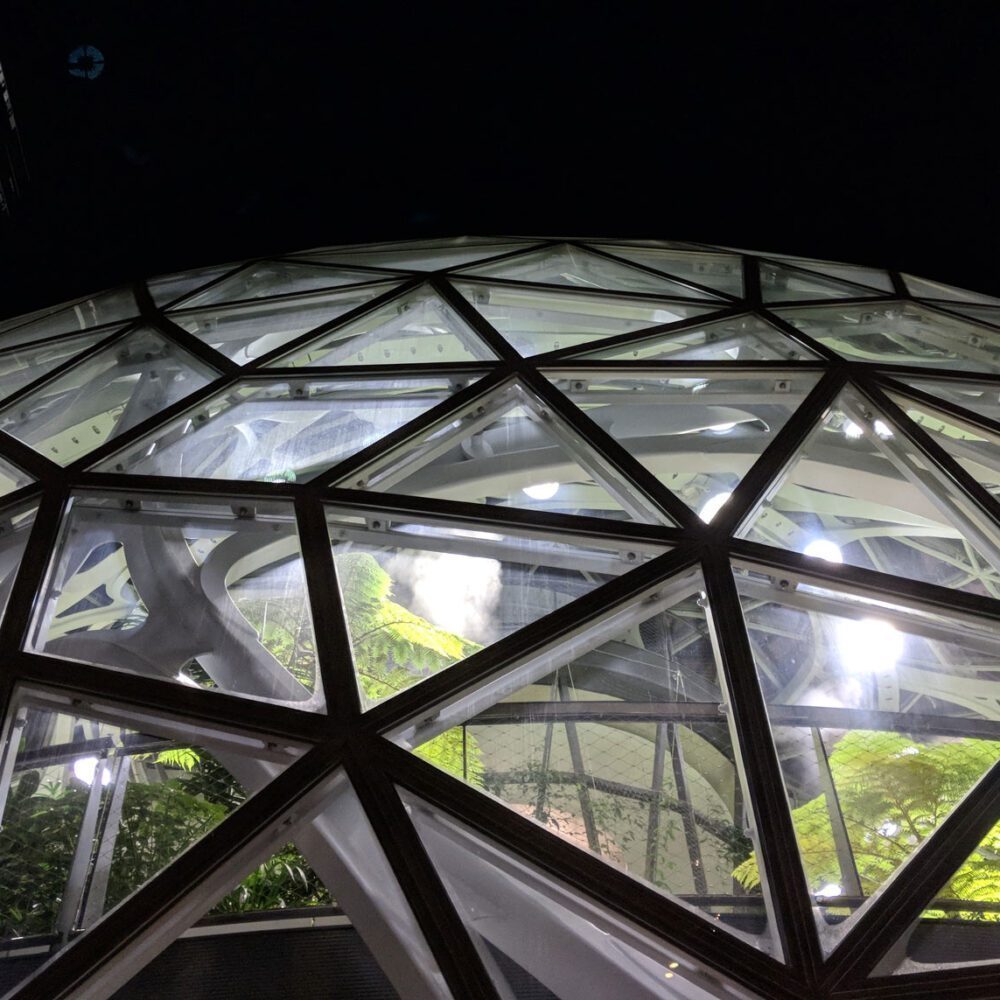 Who Will Be the Next Amazon?