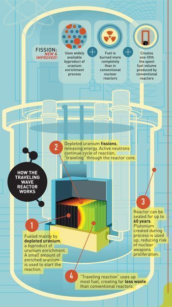 Traveling Wave Reactor