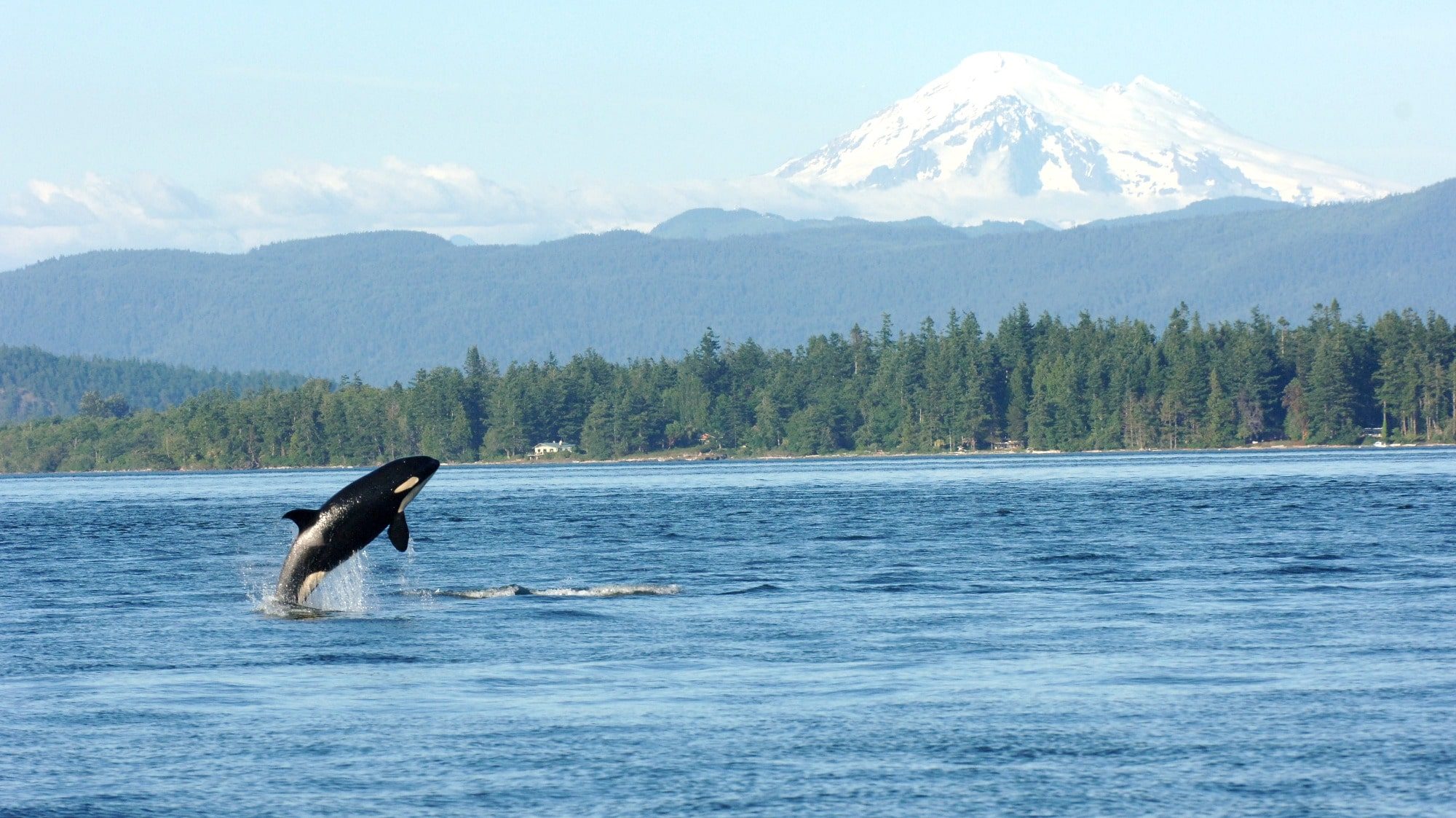 GettyImages-510310683-16-9-2000x1125-min