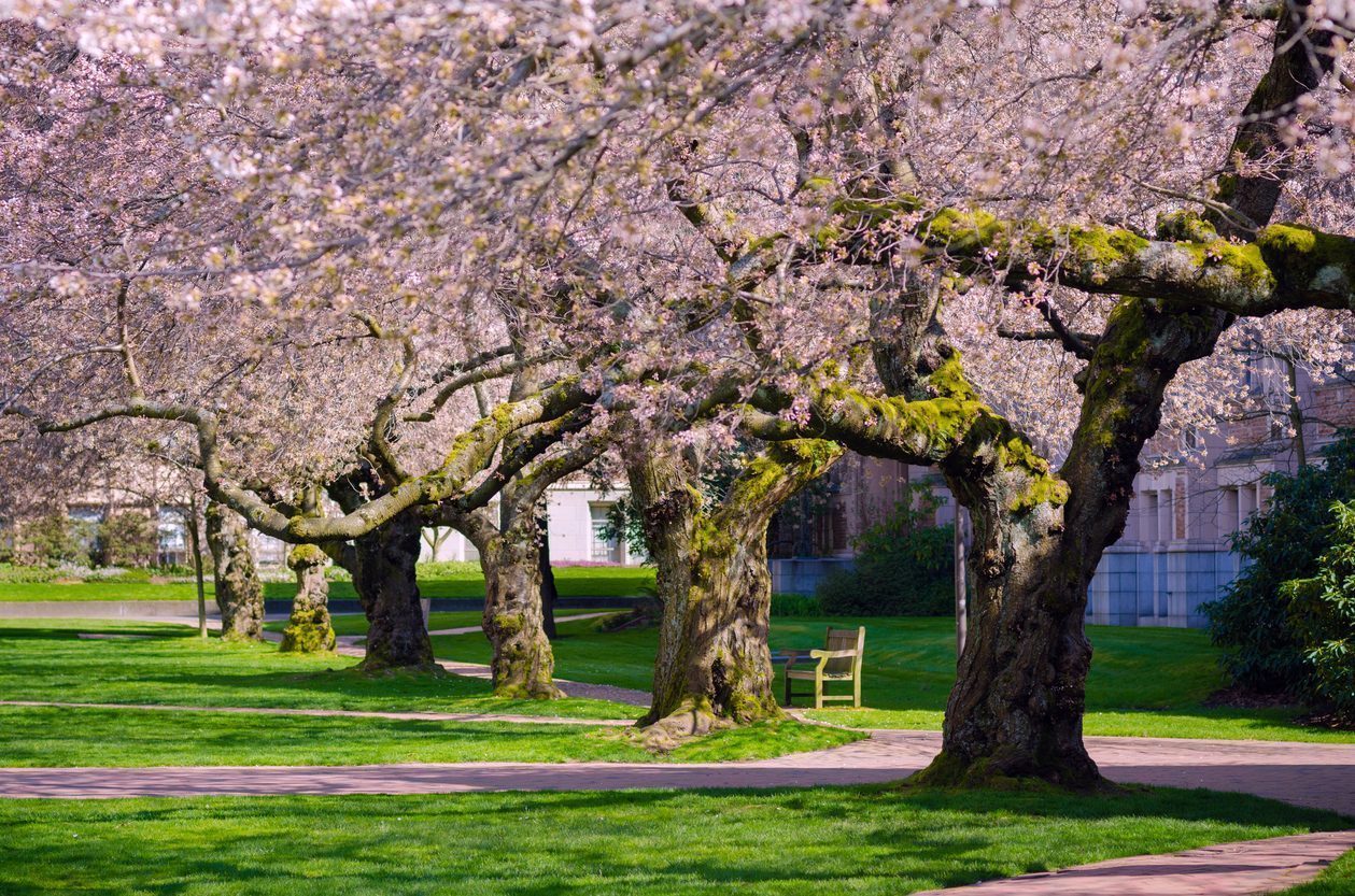 Extend Your Education: Lifelong Learning Is the New Reality for a Successful Career