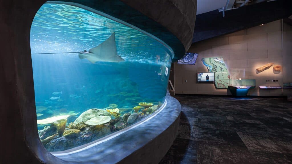 The Ocean Pavilion at the Seattle Aquarium features a large tank teeming with fish, coral, and a stingray gliding near the water's surface. The surrounding area is thoughtfully designed with informational displays and dim lighting to enhance your underwater experience.