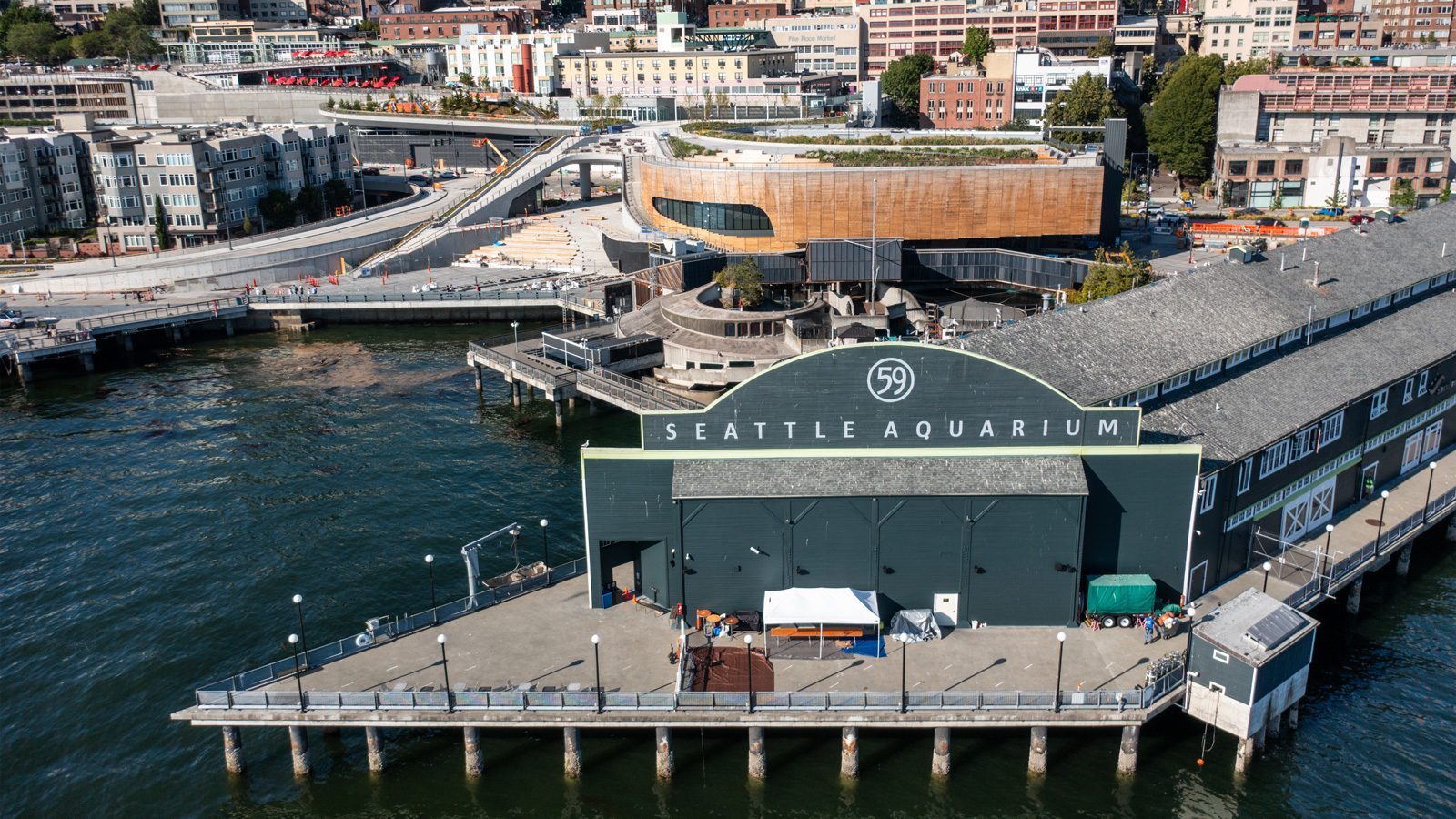 Aerial view of the Seattle Aquarium with its green facade and prominent number 59. The New Ocean Pavilion stands out in the waterfront complex, surrounded by buildings, roads, and the scenic waterfront.